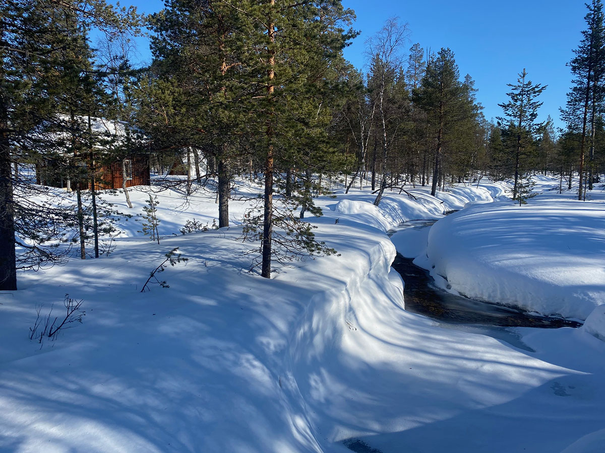 Kuva Saariselän lumisesta maisemasta.