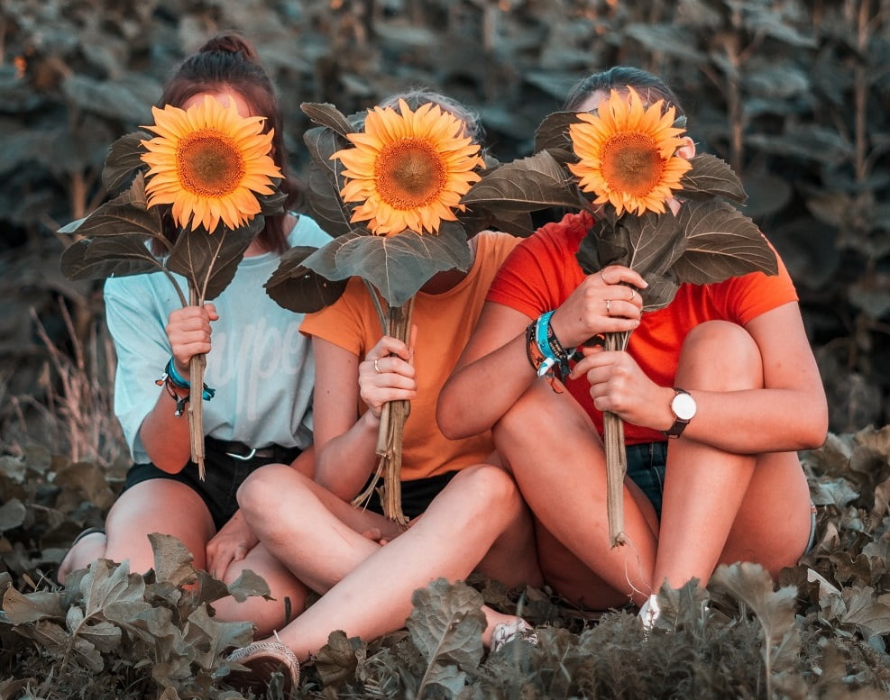 Kolme ihmistä istuu auringonkukkapellossa ja pitelee kukkia kasvojensa edessä.